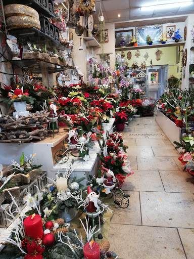 Blumen Green Day - Thumbnail