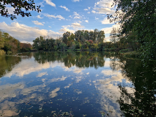 Kleiner Weiher Riedstadt Gallery - Germany