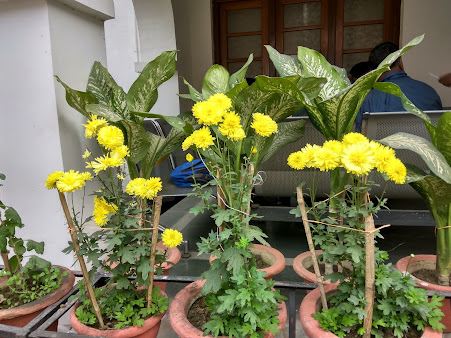 Af1qipnvmccgaetbrd X Refqfq1o9duzzuxw3p8zjnb=s451 K No