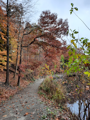 Lily Pond, Mill Creek Park - Thumbnail