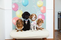 Studio Shocoralu (スタジオ ショコラル)