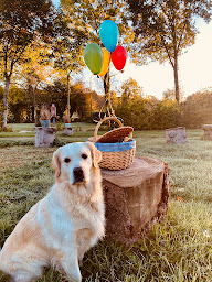 Photo n°7 de Au Vieux Moulin à Roy-Boissy (Terrain de camping)