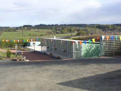 Braeside Cattery & Kennels
