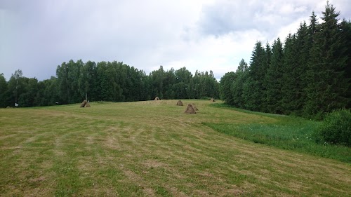 Privātkolekcija, Muzejs