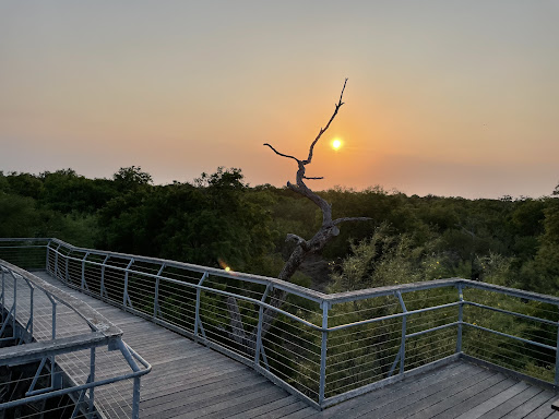 Hawk Tower