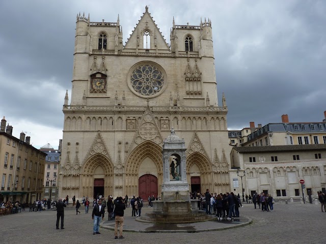 Les Lyonnais