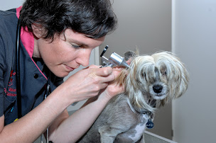 Photo n°12 de Clinique Vétérinaire du Cèdre - Drs Jégou et Vieilledent à La Roche-sur-Yon (Vétérinaire)