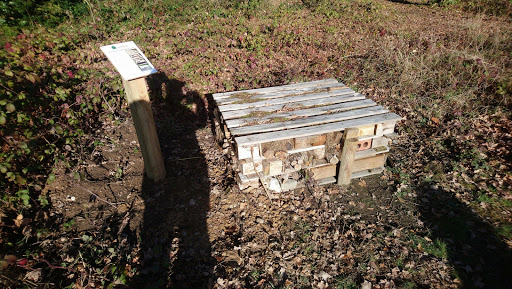 Linder's Field Local Nature Reserve - Thumbnail