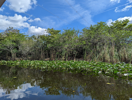 Private Airboat Tours - Thumbnail