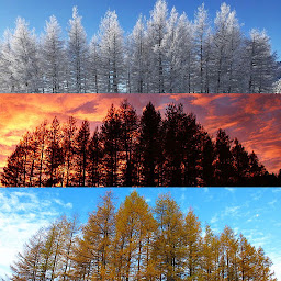 Photo n°31 de Gîte Ranch Le Serpolet à Les Angles (Chambre d'hôtes)