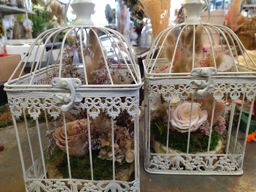 Fleurs du Cygne de Croix - Thumbnail