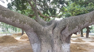 Photos of Bisramgachi Eidgah