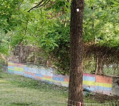 Murale Bandiere della Pace - Thumbnail