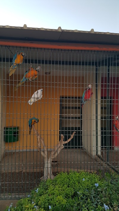 Photos of Tropicana Parc
