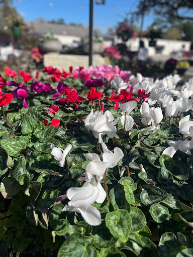 The Plant Shoppe - Thumbnail