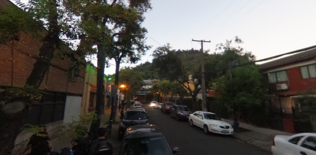 Jardín Mallinkrodt - Providencia
