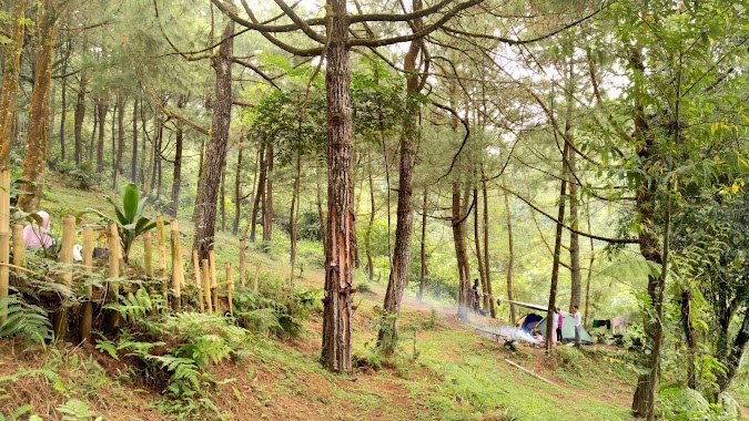 Bukit Pinus Highland View, Author: Yogo Voluntoro