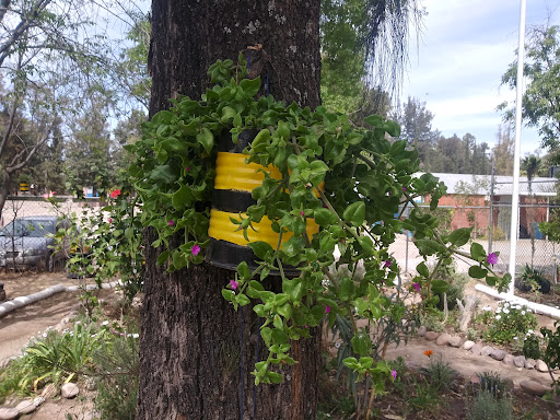 Centro Regional de Educación y Cultura de la Biodiversidad (CEREBIO) - Thumbnail