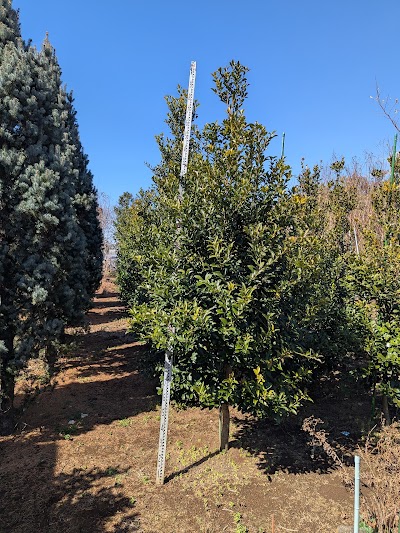 （有）須崎樹苗