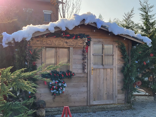Natale in Piazza - Visual