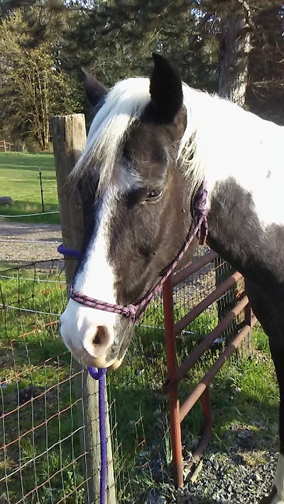 Kissock Horse Center