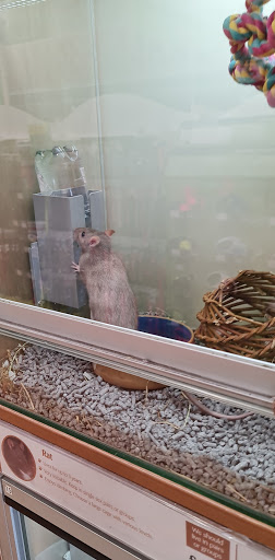 Pets at Home Enfield - Thumbnail