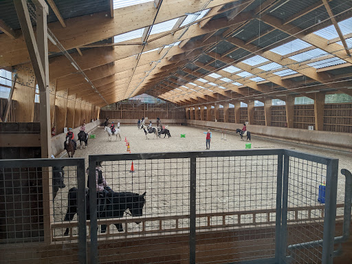 Eckwersheim's Equestrian Club - Thumbnail