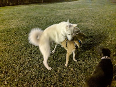 Hawaiʻi Kai Dog Park