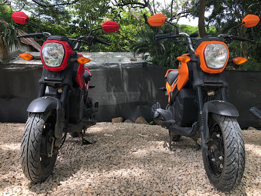 OCEAN RENTAL SCOOTERS TAMARINDO