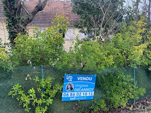 Photo n°33 de Virginie Delannoy - Conseillère en immobilier IAD France à Combs-la-Ville (Conseiller)