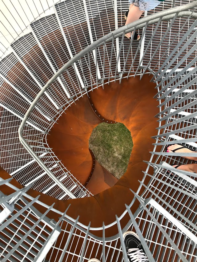 Dendrites