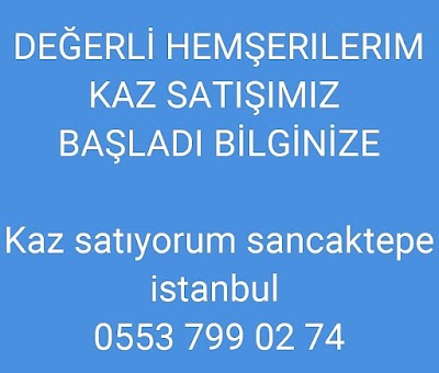 kaz satıyorum sancaktepe istanbul