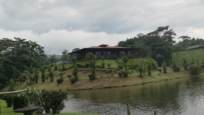 Photos of Selva Negra Bar & Restaurante