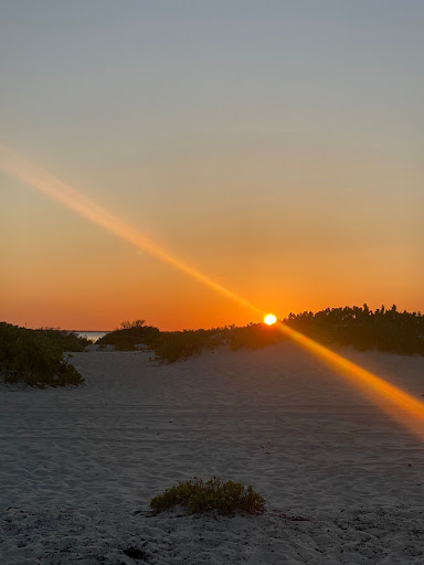 Yucatanis | HAND-PICKED Experiences, Tours and Boats.