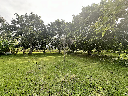 Sea to Sky | Hin Kong