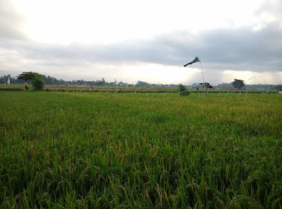 Photos of SUBAK Sangkaragung