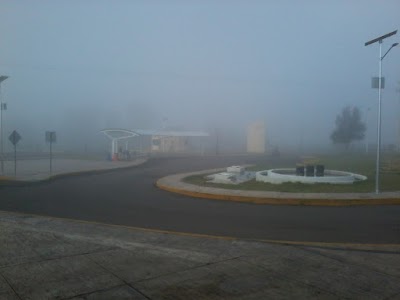university
