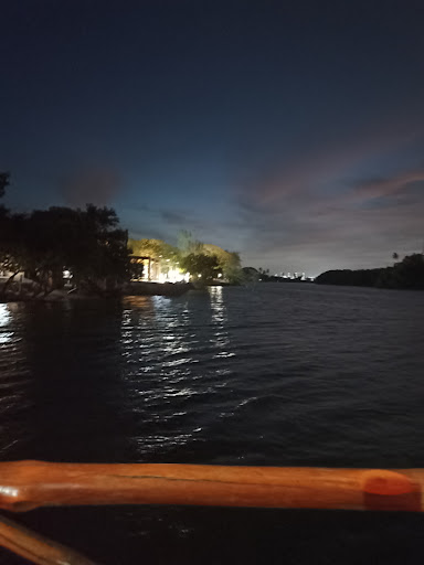 Cheleria - Thumbnail