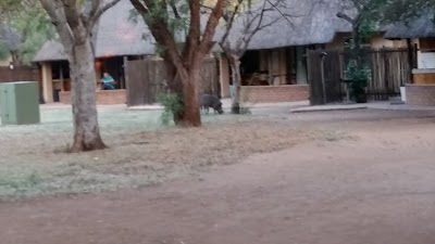 Photos of Satara Camp