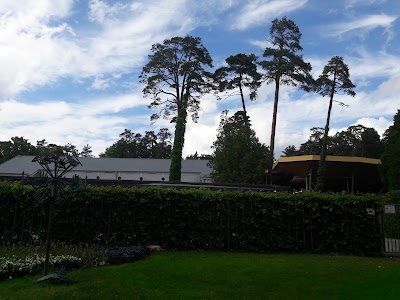 Photos of Dzintari Concert Hall