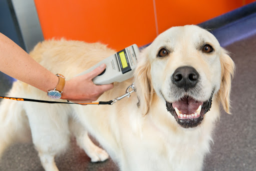 Stephen Terrace Veterinary Clinic Gallery - Australia