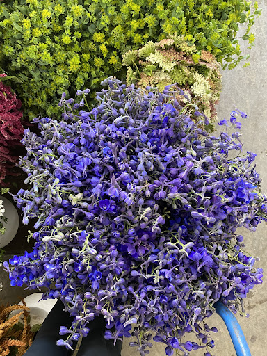 Northern California Flower Shippers - Thumbnail