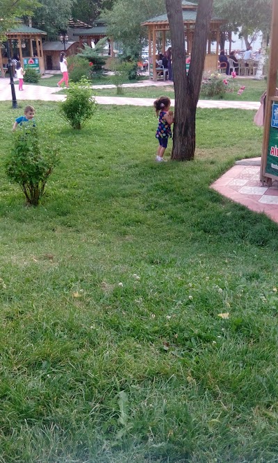 Photos of Chechnya Park