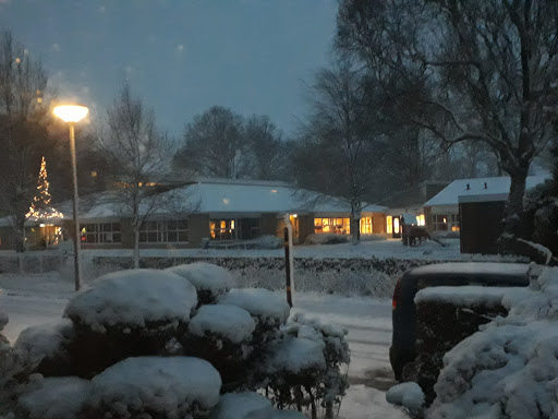 Basisschool de Linde - Thumbnail