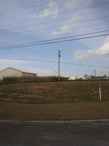 Section High School - Visual