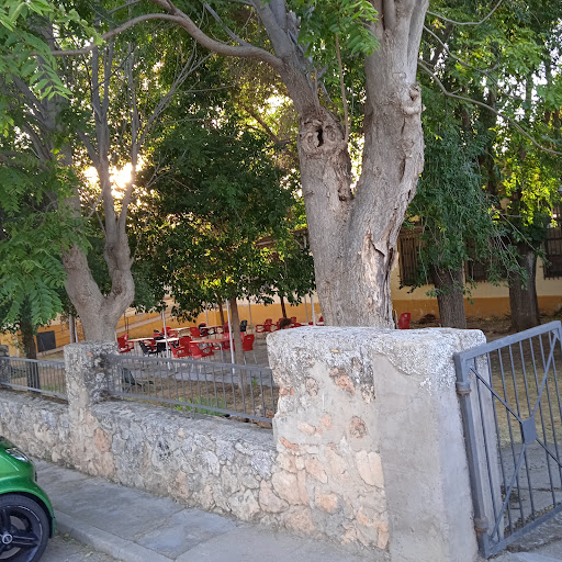 Bar Saceda - Visual