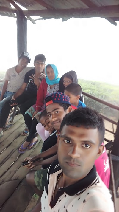 Photos of Nature View