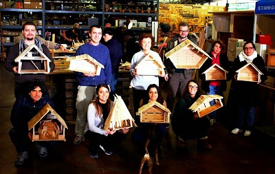 Photos of Ampollini Srl