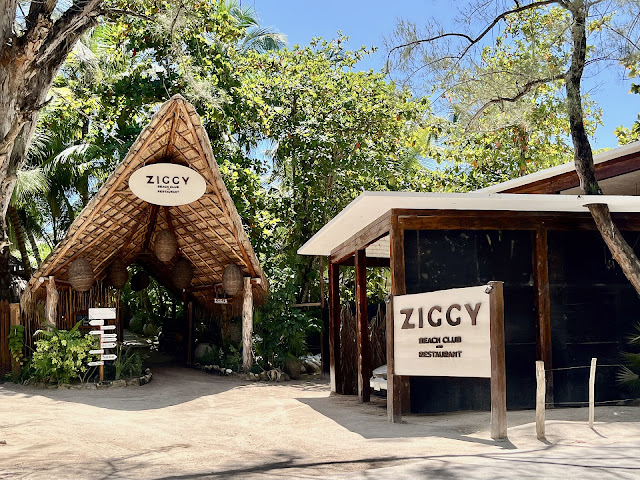 ZIGGY - Beach Club & Restaurant by null
