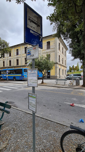 Verdi 3 - Visual